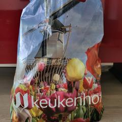 Plastic tas Keukenhof, amint azt az iLostnak jelentették.