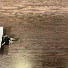 Portachiavi - 071125 SPRING1q, come riportato da Ziggo Dome utilizzando iLost