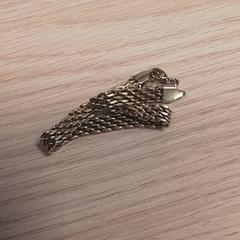 Pulsera, ha sido reportado por Qbuzz Fryslân con iLost