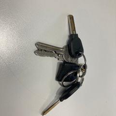 Sleutelbos 4 sleutels met 1 lege sleutel hoes, zgłoszono przez Gemeente Ede przy użyciu iLost