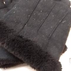 Hansker Zwart, som rapportert av Qbuzz Fryslân ved bruk av iLost