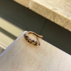 İLost kullanarak Gemeente Stichtse Vecht tarafından bildirildiği gibi Küpe