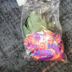 Pose & Klær, som rapportert av Connexxion Haarlem IJmond ved bruk av iLost