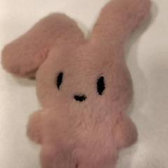 Knuffel, as reported by Arriva Limburg Noord using iLost