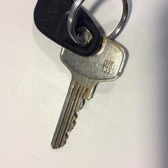 Kľúče, ako bolo nahlásené Gemeente Veenendaal pomocou iLost