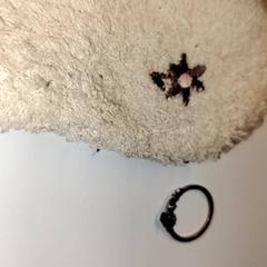 Handschoentje + ring, gemeldet von Ziekenhuis Oost-Limburg über iLost