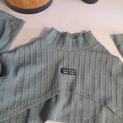 Top Groen, amint azt Dolfinarium az iLost segítségével jelentette.