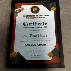 Vari - Certificaat Owusu, come riportato da Centraal magazijn utilizzando iLost