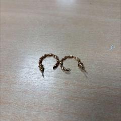 イヤリング がiLostで DoubleTree by Hilton Rotterdam Centre によって報告されました