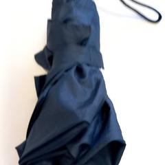 Umbrella & Bag, as reported by Arriva Limburg Zuid using iLost