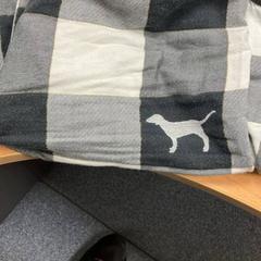 Pydamas Pyjama, gemeldet von Sheraton Brussels Airport Hotel über iLost