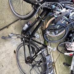 Damcykel Sparta, rapporterat av Stadswerk072 med iLost
