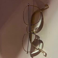 Brýle, jak nahlášeno Alrijne Leiden pomocí iLost