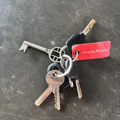 Sleutelbos, como reportado ao iLost