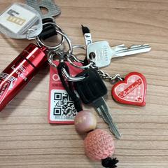 Schlüsselanhänger, gemeldet von Arriva West-Brabant über iLost