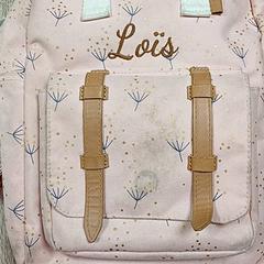 Bossa Lois rose, segons ha informat RRReis IJssel-Vecht Zwartsluis mitjançant iLost