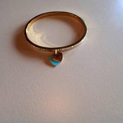 Náramek, jak nahlášeno Familiepark Drievliet pomocí iLost