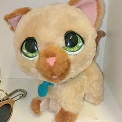Játék kat, amint azt IKEA Utrecht az iLost segítségével jelentette.