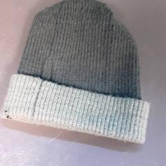Beanie, as reported by Diergaarde Blijdorp using iLost