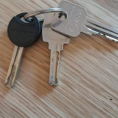 Sleutelbos, as reported to iLost