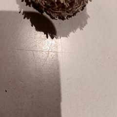 Mysig leksak, rapporterat av De Efteling med iLost