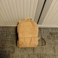 Rugtas, como reportado por Connexxion Zaanstad utilizando o iLost