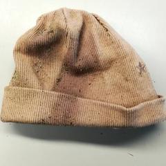 Beanie Bruin kind, jak nahlášeno Burgers' Zoo pomocí iLost