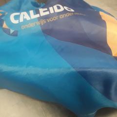 Rugzak Blauw, segons ha informat Arriva Friesland / Groningen mitjançant iLost