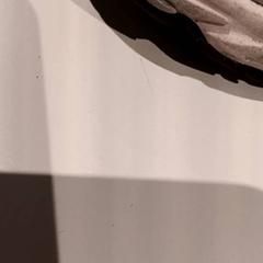 Schuh, gemeldet von De Efteling über iLost