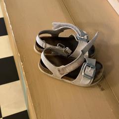 Sandale, gemeldet von Familie Resort Molenwaard über iLost