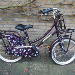 Kinderfiets Popal Daily Dutch, as reported to iLost