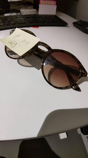 Sunglasses Bruin
