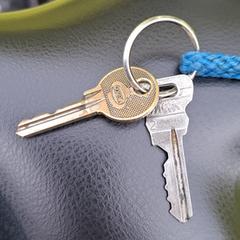 Sleutelbos, jak bylo nahlášeno na iLost