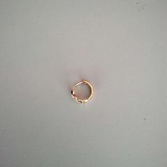 İLost kullanarak Twisto tarafından bildirildiği gibi Küpe d'oreille