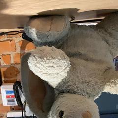 Peluche Biały królik, segundo informou MEININGER Hotel Kraków Centrum usando iLost