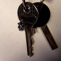 Sleutels, zoals gemeld door Qbuzz ZHN met iLost