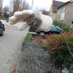 Handschoen, som rapportert til iLost