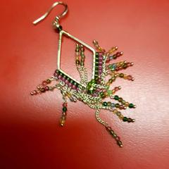 Orecchino, come riportato da UvA REC utilizzando iLost