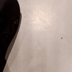 Sko, som rapportert av De Efteling ved bruk av iLost