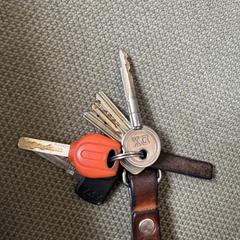 Sleutelbos a été signalé sur iLost