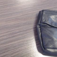 Billetera van Nieuwkoop, ha sido reportado por Walibi Holland con iLost