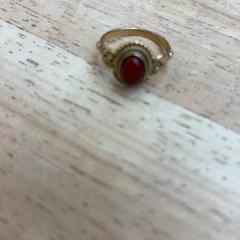 Ringe, som rapportert av Gemeente Wageningen ved bruk av iLost