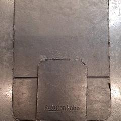 Ereader, gisa salatu by Rotterdam The Hague Airport iLost erabiliz