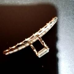 Haarklip Zilver, como reportado por Apenheul utilizando o iLost