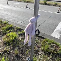 Roze happy horse knuffel, iLost에 보고됨