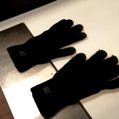 Kesztyű, amint azt Diergaarde Blijdorp az iLost segítségével jelentette.