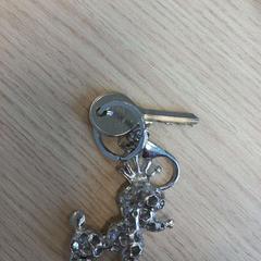 Sleutel, zoals gemeld door Arriva West-Brabant met iLost