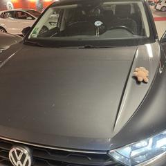 Gehaakt beertje, ha sido reportado a iLost