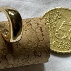 Oorbel goud(kleurig?), segons s'ha informat a iLost