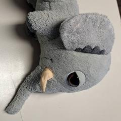 박제 동물, iLost를 사용하여 Connexxion Haarlem IJmond에 보고됨